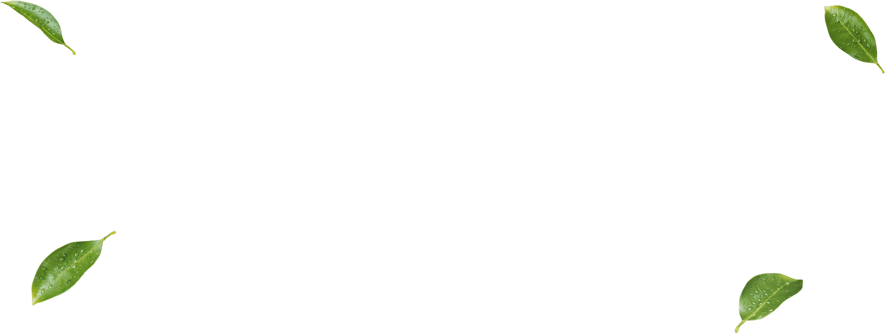 ltx-parallax-layer